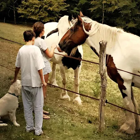 Mas Damour Montcabrier (Lot)