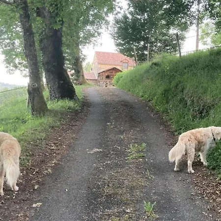 Mas Damour Ferienhaus *