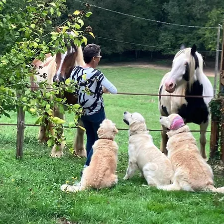 Ferienhaus Mas Damour *