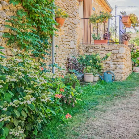 Mas Damour * Montcabrier (Lot)